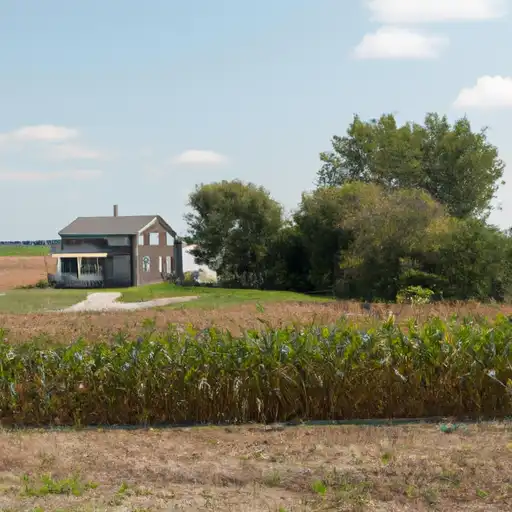 Rural homes in Cook, Illinois