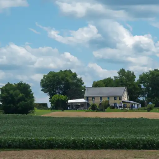 Rural homes in Madison, Illinois