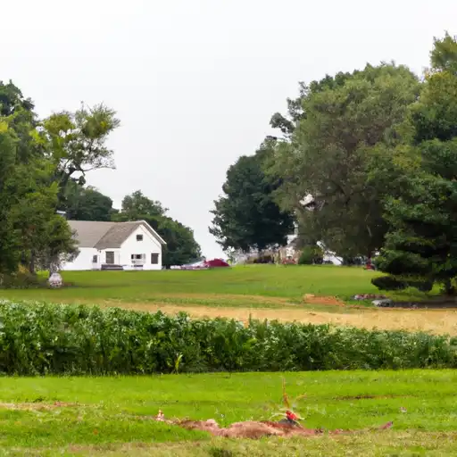 Rural homes in Ogle, Illinois