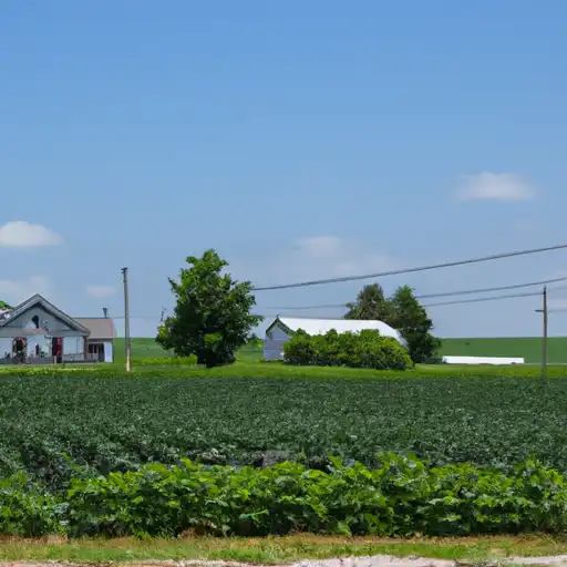 Rural homes in Stephenson, Illinois