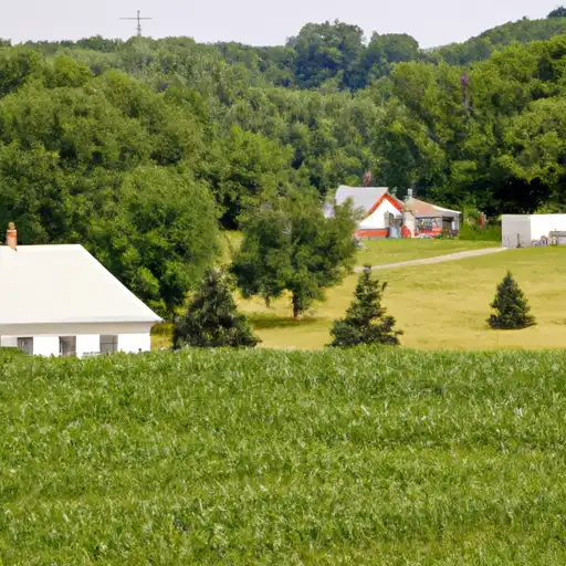 Rural homes in White, Illinois