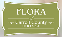 City Logo for Flora