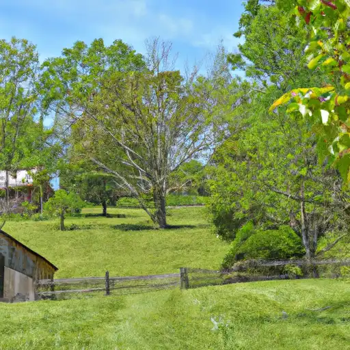 Rural homes in Barren, Kentucky