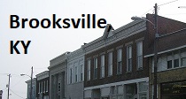 City Logo for Brooksville