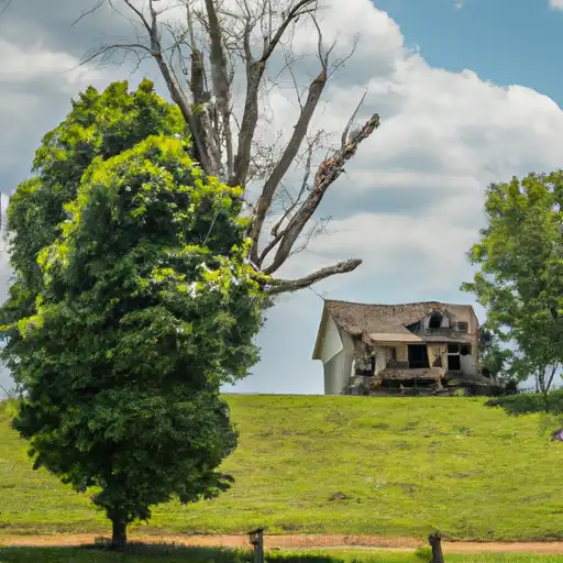 Rural homes in Carlisle, Kentucky