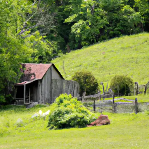 Rural homes in Hart, Kentucky