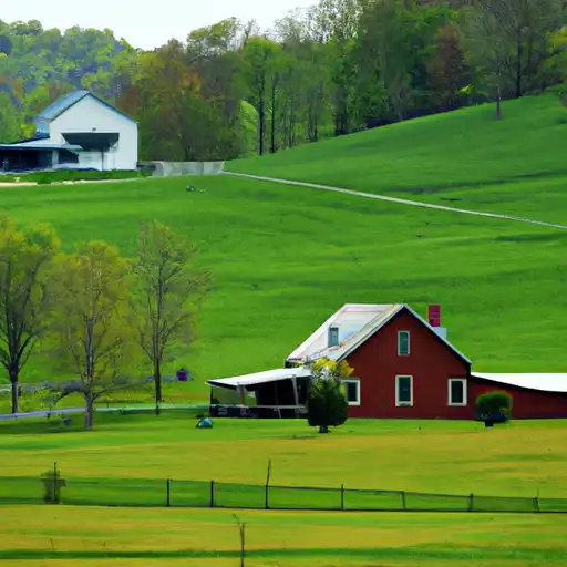 Rural homes in Morgan, Kentucky