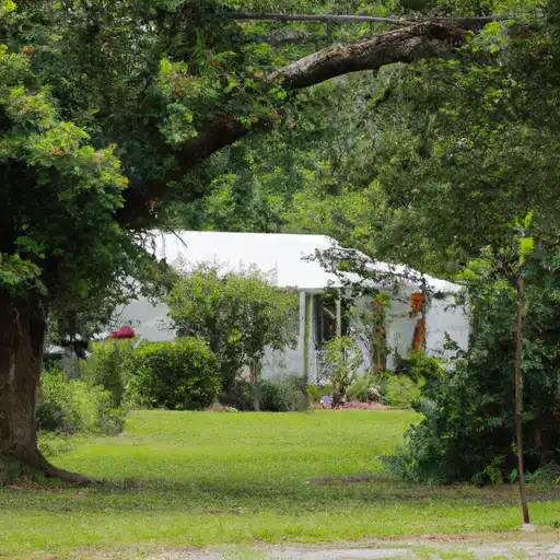 Rural homes in Caddo, Louisiana