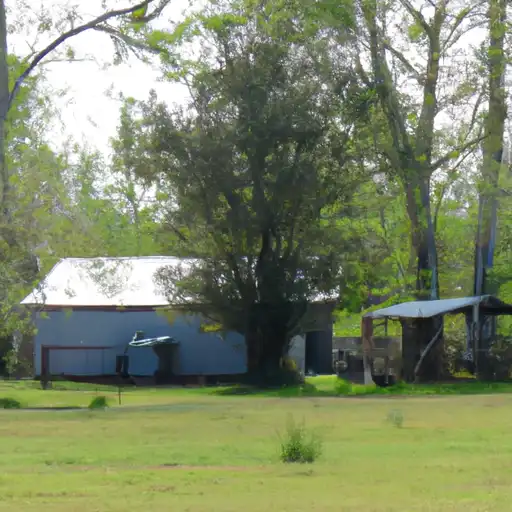Rural homes in Catahoula, Louisiana