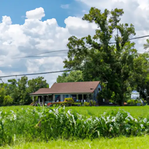 Rural homes in Grant, Louisiana