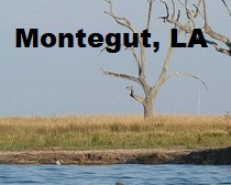 City Logo for Montegut