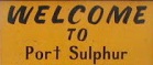 City Logo for Port_Sulphur