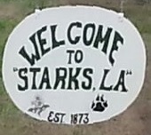 City Logo for Starks