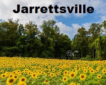 City Logo for Jarrettsville