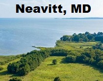 City Logo for Neavitt