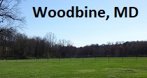 City Logo for Woodbine