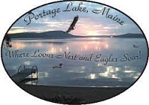 City Logo for Portage_Lake