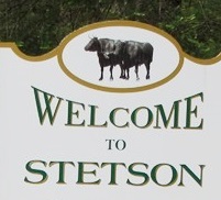City Logo for Stetson