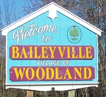 City Logo for Woodland
