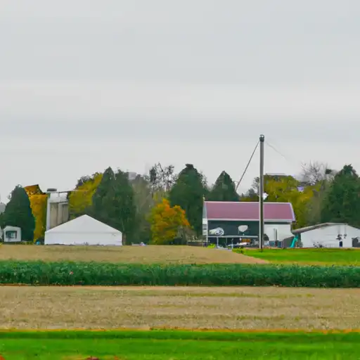 Rural homes in Benzie, Michigan