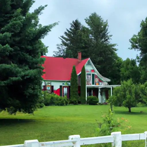 Rural homes in Emmet, Michigan