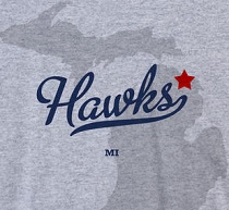 City Logo for Hawks