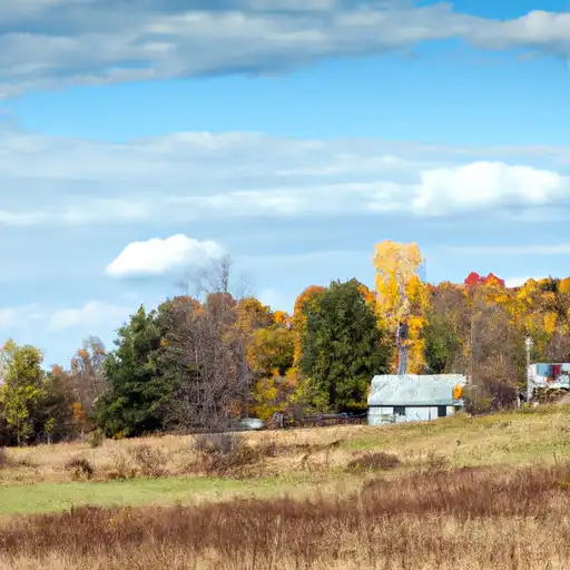 Rural homes in Luce, Michigan