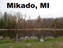 City Logo for Mikado