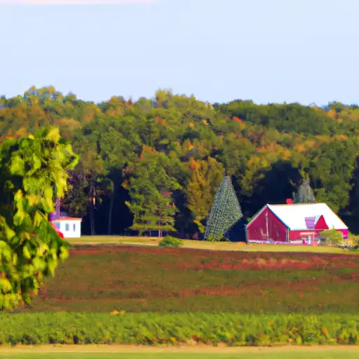 Rural homes in Montcalm, Michigan