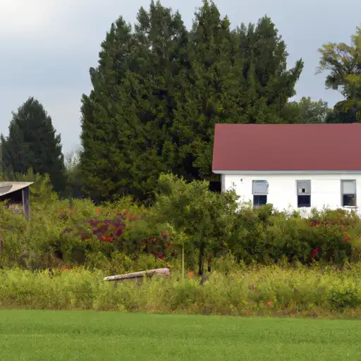 Rural homes in Ottawa, Michigan