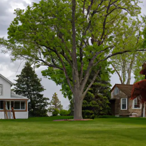 Rural homes in Saginaw, Michigan