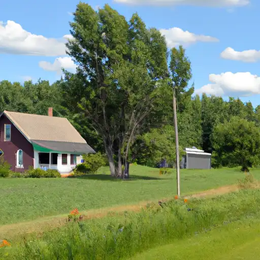 Rural homes in Cook, Minnesota