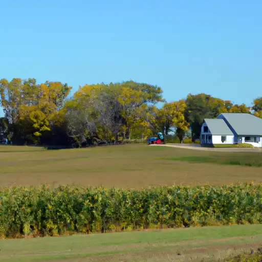 Rural homes in Cottonwood, Minnesota