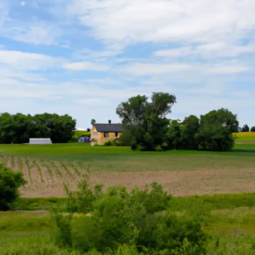 Rural homes in Mower, Minnesota