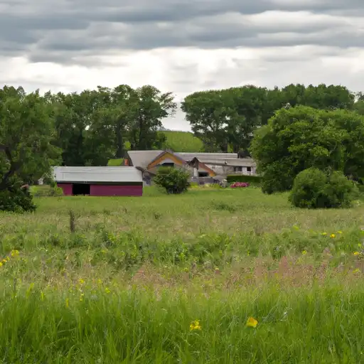 Rural homes in Pennington, Minnesota