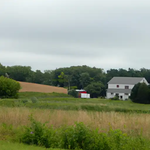 Rural homes in Traverse, Minnesota