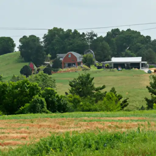 Rural homes in Camden, Missouri