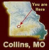 City Logo for Collins