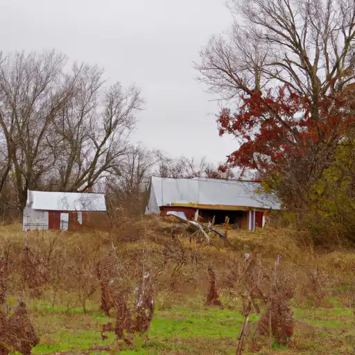 Rural homes in Ralls, Missouri