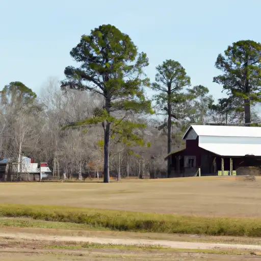 Rural homes in Chickasaw, Mississippi