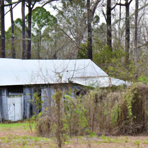 Rural homes in Claiborne, Mississippi
