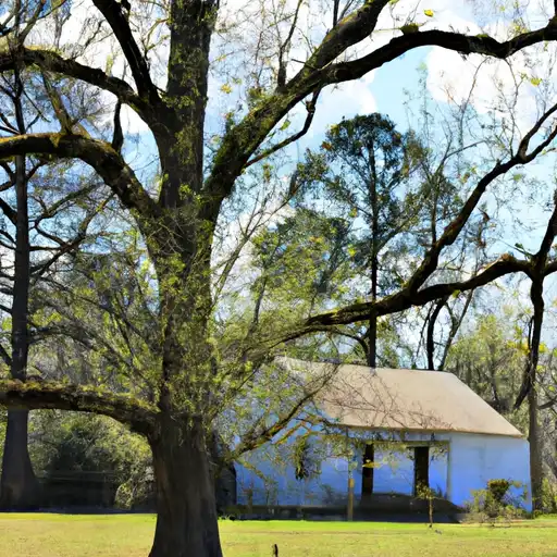 Rural homes in Clarke, Mississippi