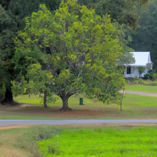 Rural homes in Greene, Mississippi