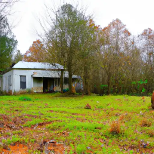 Rural homes in Leake, Mississippi