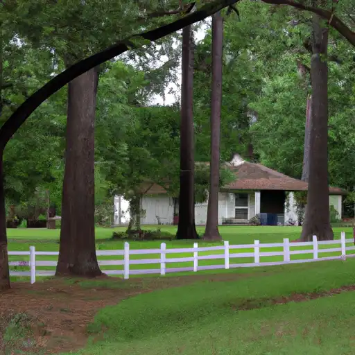 Rural homes in Lee, Mississippi