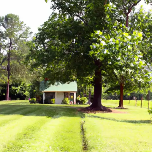 Rural homes in Marion, Mississippi