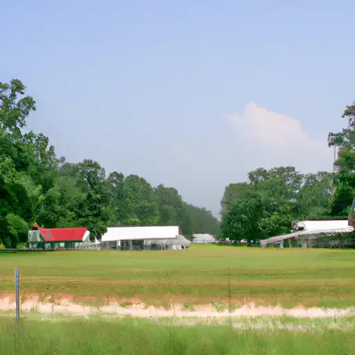 Rural homes in Marshall, Mississippi