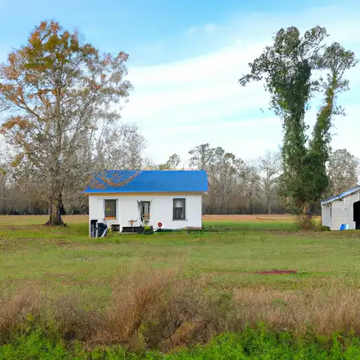Rural homes in Newton, Mississippi