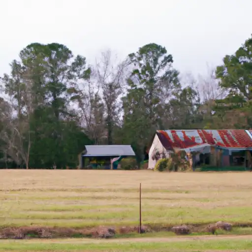 Rural homes in Tate, Mississippi