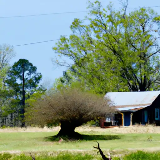 Rural homes in Wayne, Mississippi